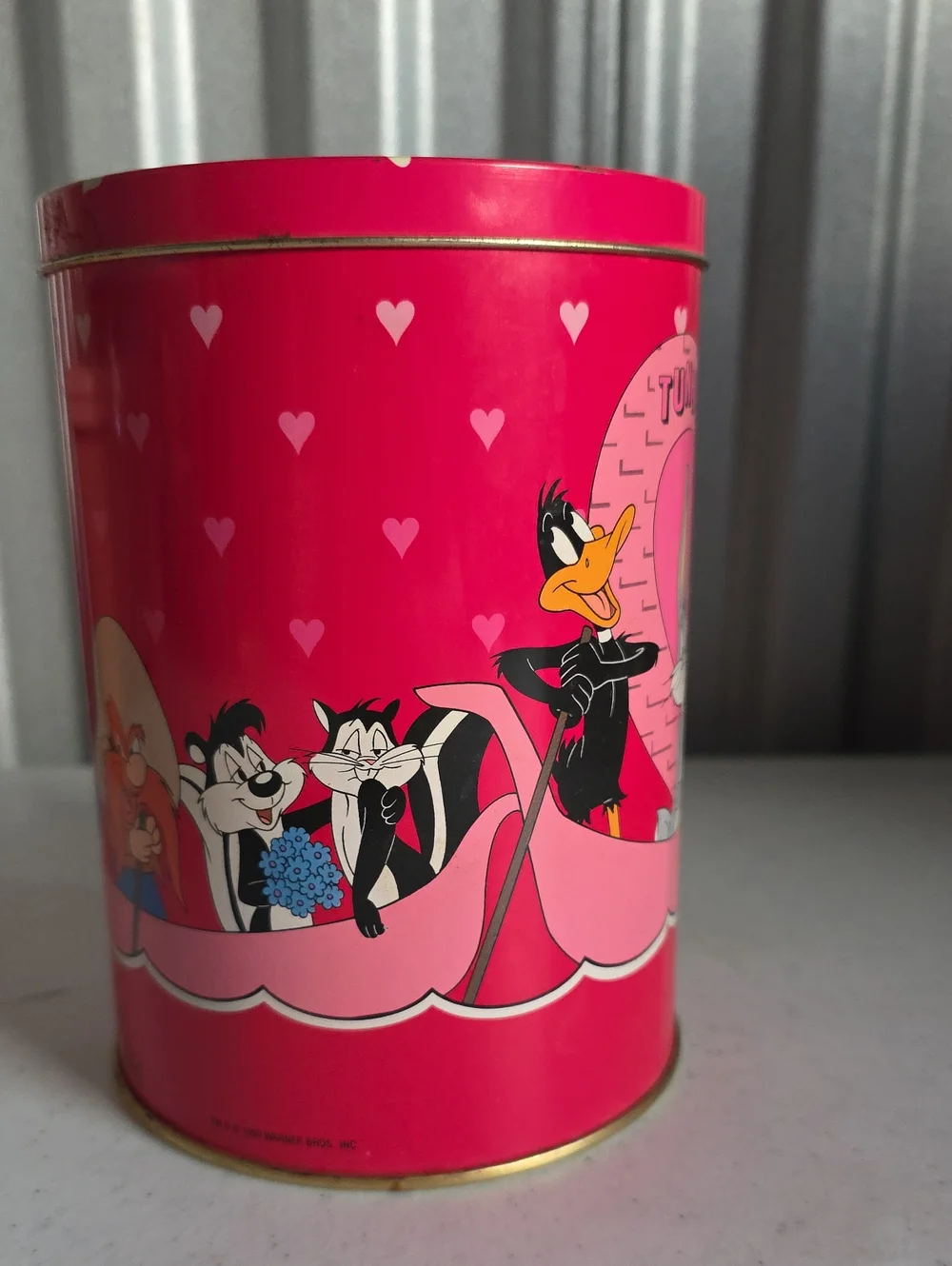 Warner Bros. 'Tunnel of Love' Pink Decorative Tin Storage